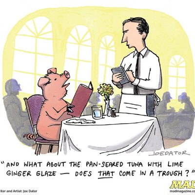 Cartoons by Joe Dator: Pig